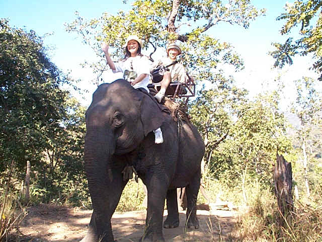 DCP00192.JPG (200835 bytes)