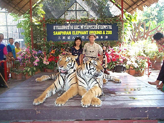 DCP00312.JPG (188161 bytes)