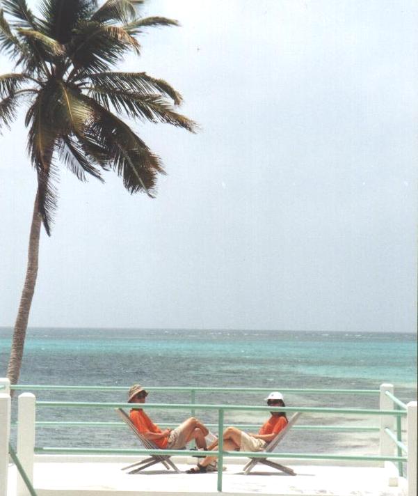 beach front up v.JPG (51187 bytes)