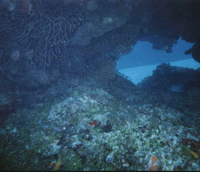 cave 1.JPG (47991 bytes)