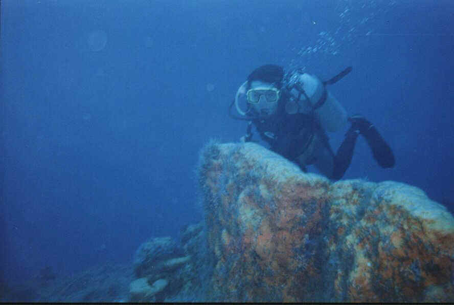 dive b 1.JPG (34760 bytes)