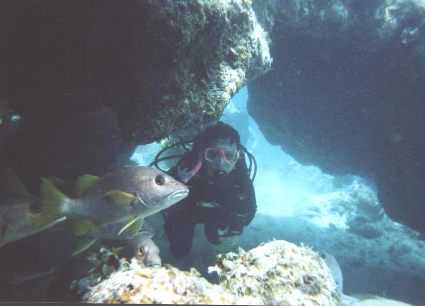 diving cave fish m.JPG (52628 bytes)