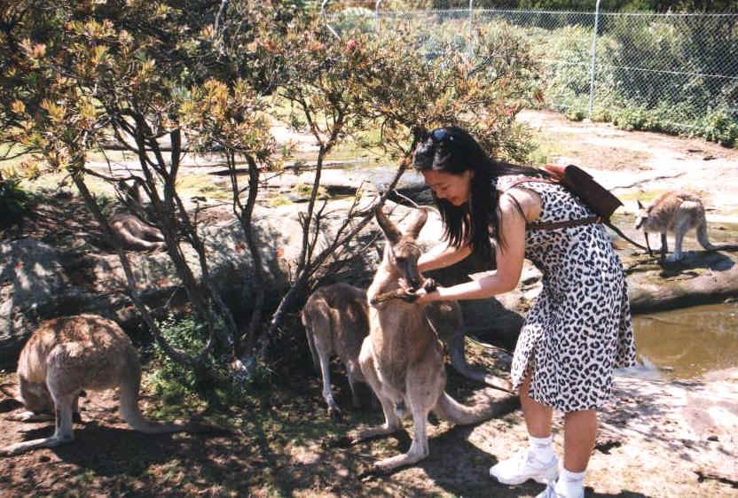 kangroo and m.JPG (136366 bytes)