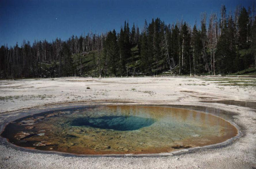 yellow stone water color.JPG (85414 bytes)